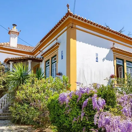 Estilo Africano Проживание в семье